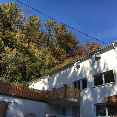 Ferienwohnungen Lamisto Am Waldesrand Neckartenzlingen المظهر الخارجي الصورة