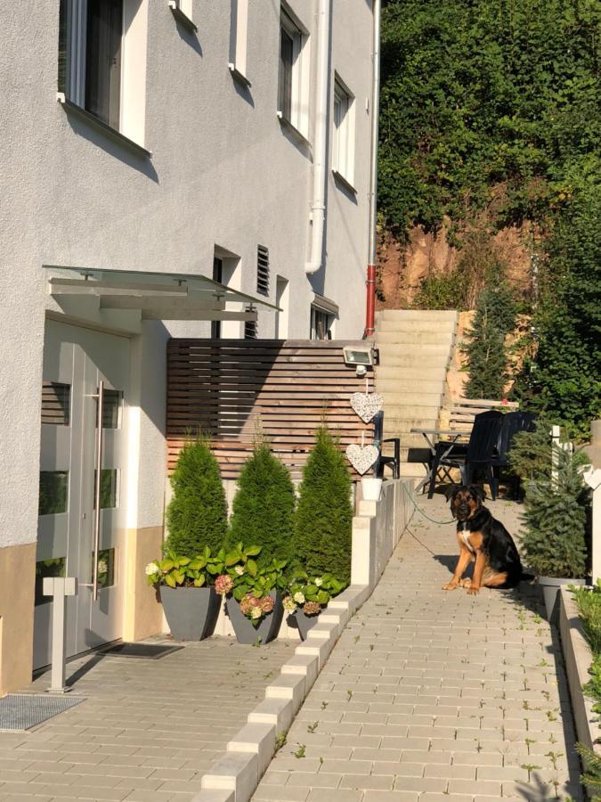 Ferienwohnungen Lamisto Am Waldesrand Neckartenzlingen المظهر الخارجي الصورة